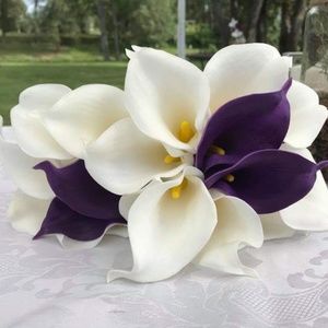 Meet your Posher, Ann-marie